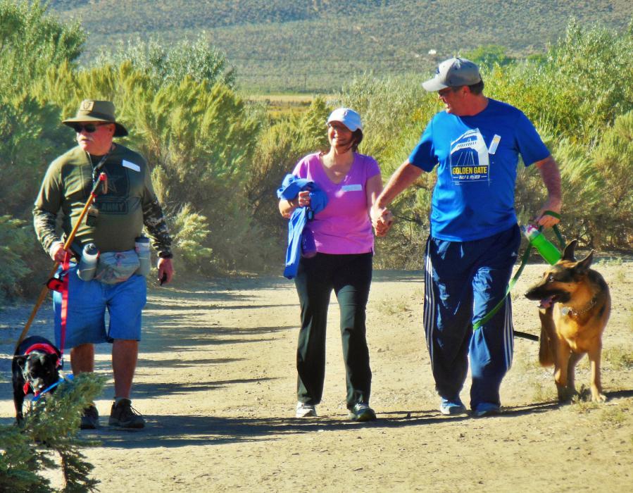 A German Shepherd and Black Lab walking with their humans Sunday morning.