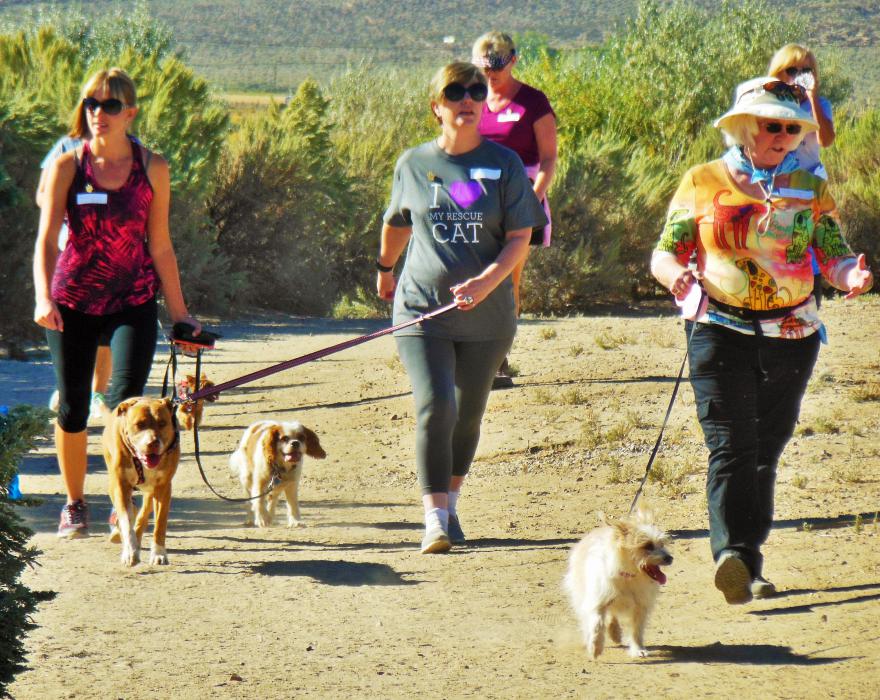 Dogs and their humans on the 3K Walk at Riverview Park Sunday morning.