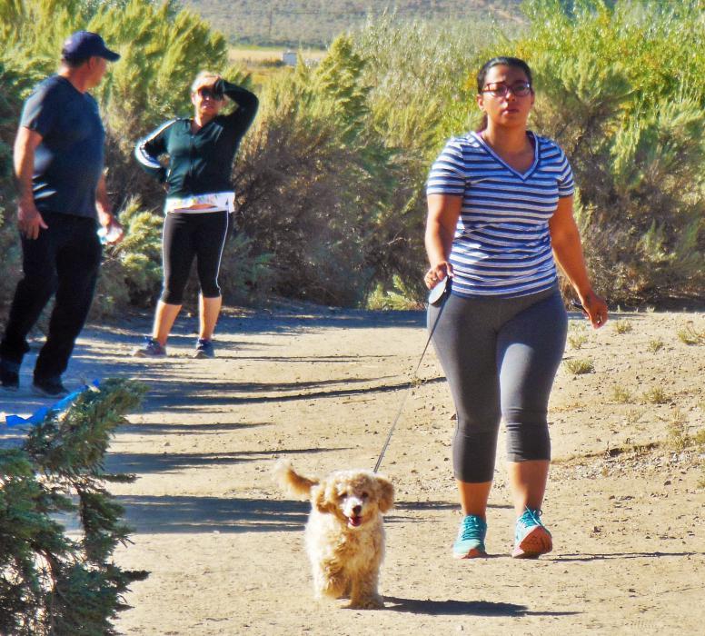 A woman with her small dog approach the end of the 3K Walk.
