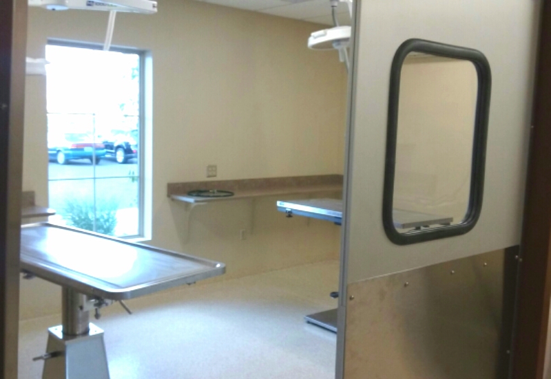 Surgical prep at the shelter.