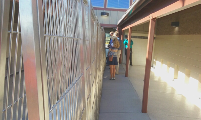 Outdoor portions of the canine kennels.