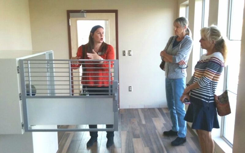 A feline room at the new shelter.