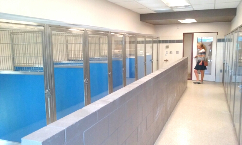 A canine kennel room at the new animal shelter.