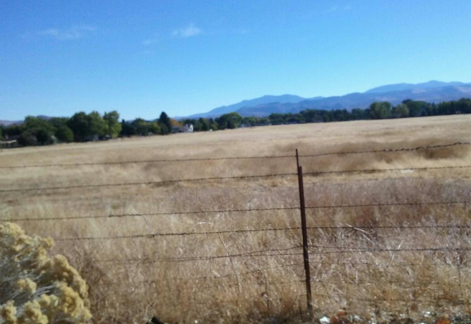 Andersen Ranch facing east from Ormsby Blvd.