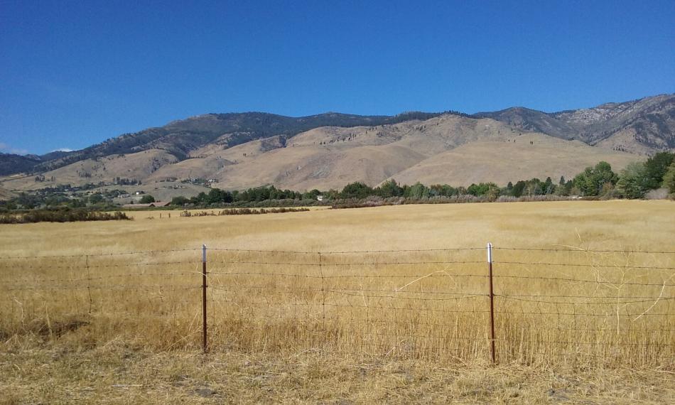 Photos by Brett Fisher. Portion of Andersen Ranch west of Ormsby Blvd.