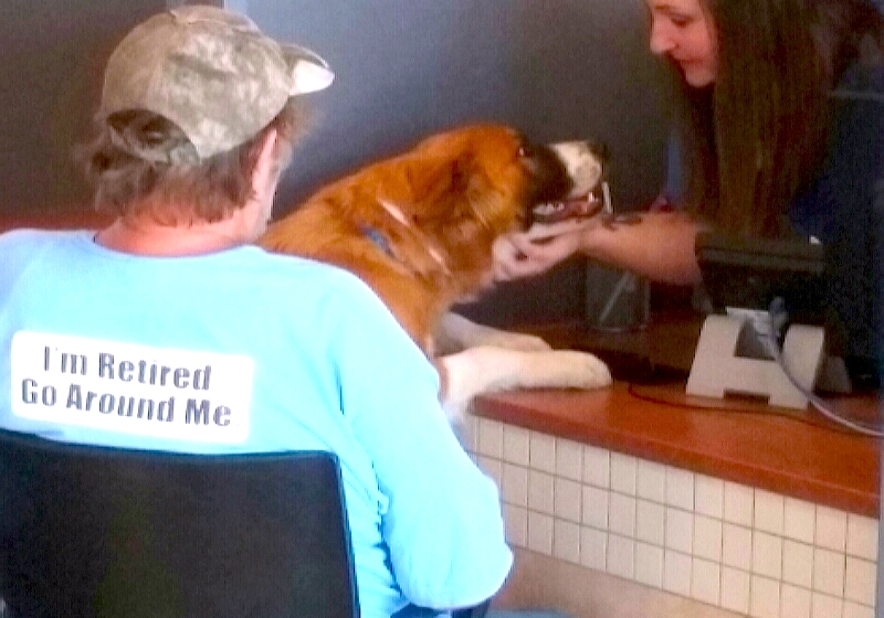 Photo by Brett Fisher. A dog is adopted Tuesday afternoon at the new Maddie's Adoption Center.