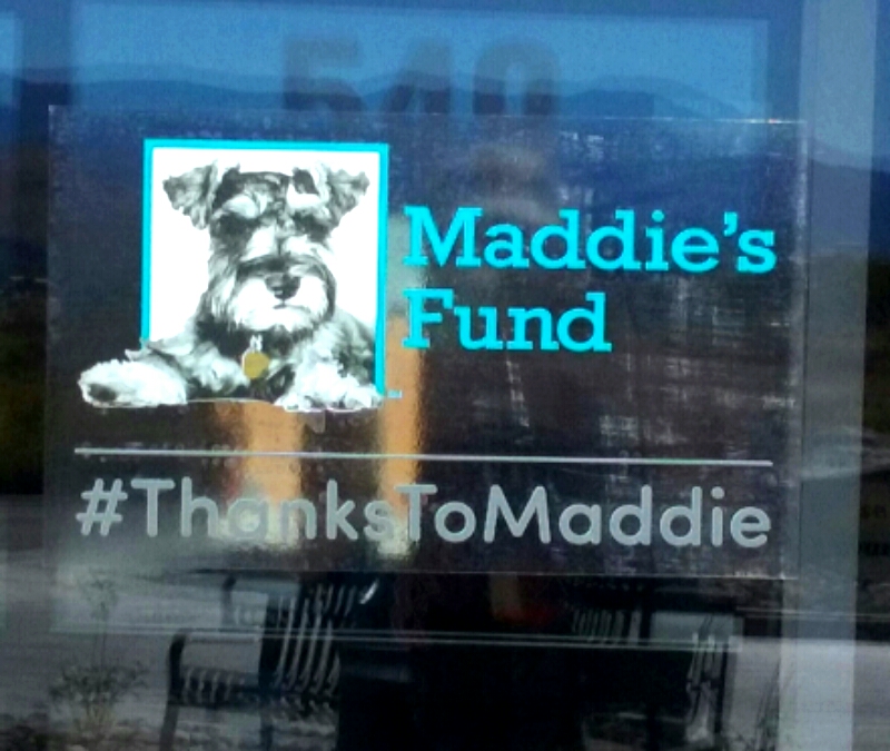 Photo by Brett Fisher. Front door to Maddie's Adoption Center.