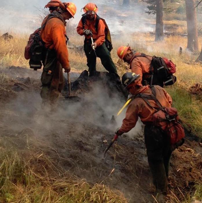 Photo courtesy of the Nevada Division of Forestry.
