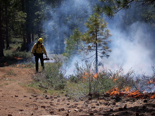 Photo by Steve McKelvey, U.S. Forest Service