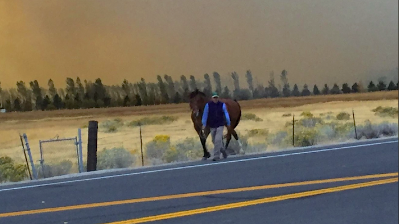 Photo courtesy KRNV My News 4