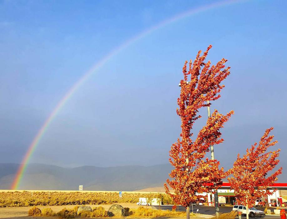 Photo by Scott Garno, a rainbow and fall colors amidst smoke.