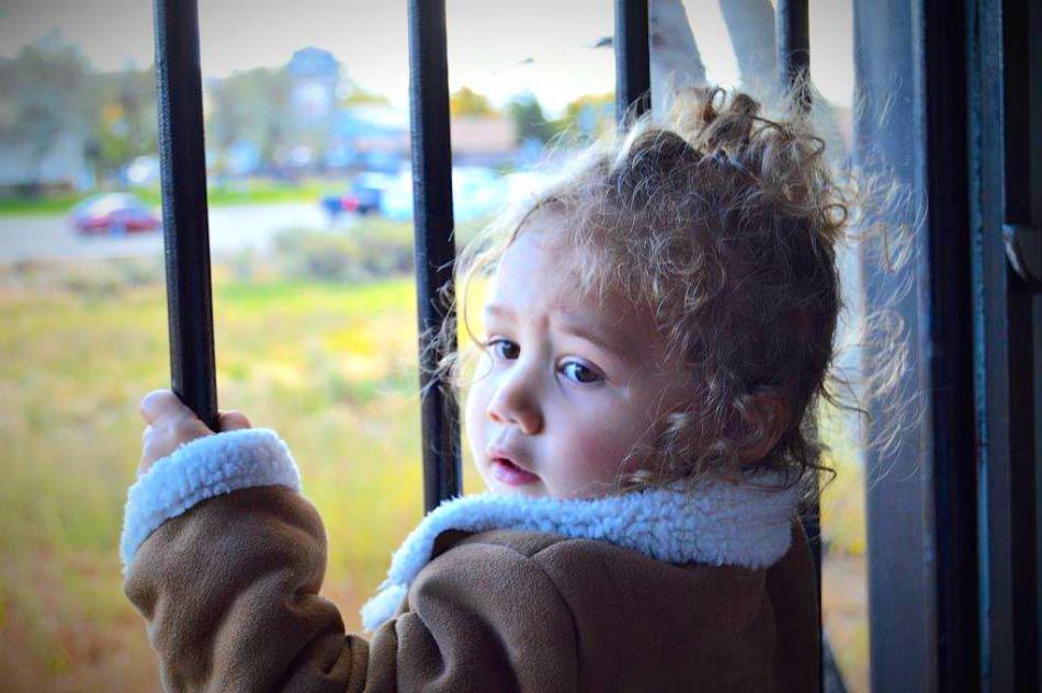 Photos by Lisa Fisher. Jade Belville, 2, of Reno looks out of the Harvest Train caboose Saturday.