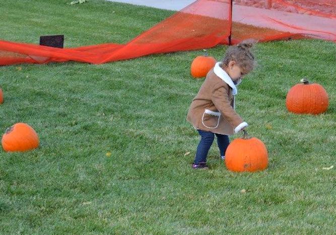 Jade Belville, 2, of Reno selects a pumpkin Saturday at the NSRM.
