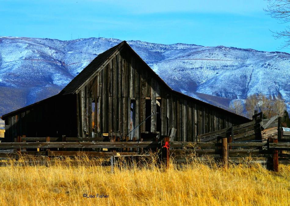 Photo by Lisa Fisher. Vintage barn on the historic Twaddle-Pedroli Ranch was destroyed.