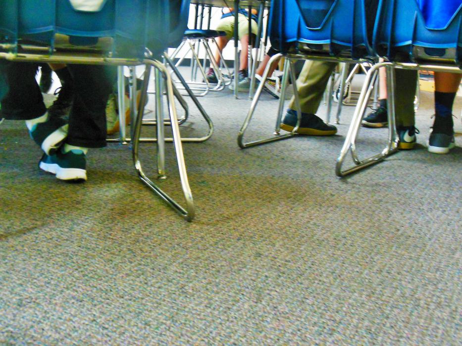 Students listen to Angela Fisher during her Eighth grade English class at Carson Middle School.