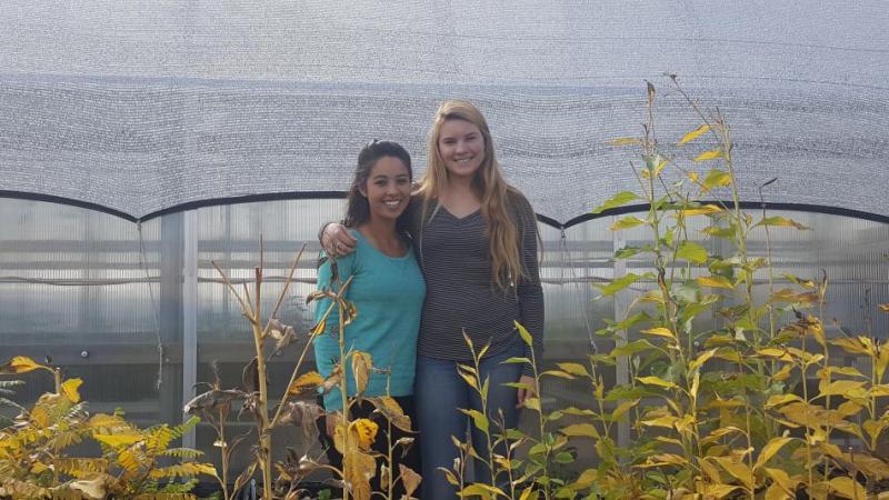 CHS Seniors Shaylin Segura and Sophie Waite are raising awareness and money for the Greenhouse Project in Carson City.