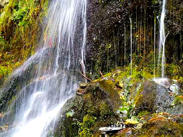 Photo by Lisa Fisher. Water cascades off the Kings Canyon waterfall in west Carson City.
