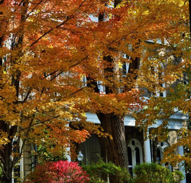 Photos by Brett Fisher. The front of the State Capitol Building dressed in fall warmth.