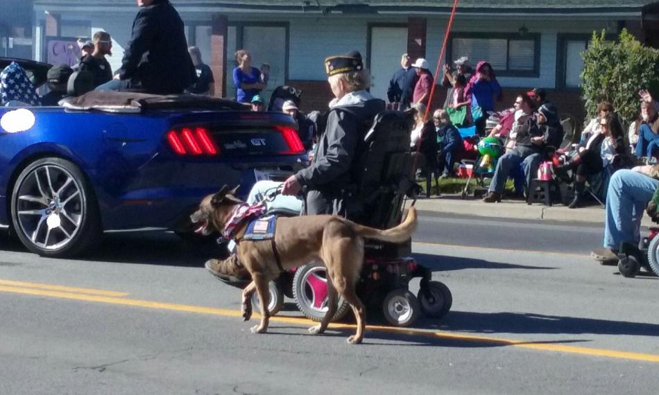 Veterans service members with their guide dogs.