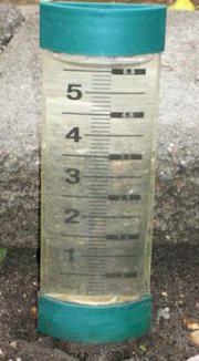 Rainfall measurement on Glenn Drive.