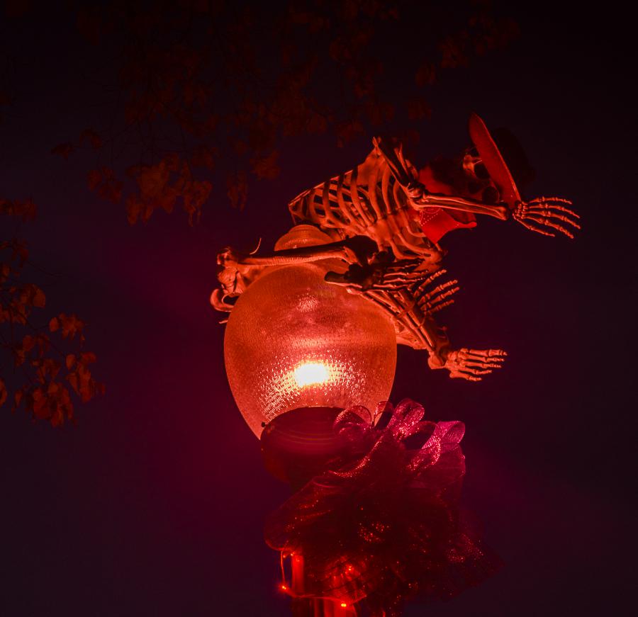 Pirate skeleton watches the entry.