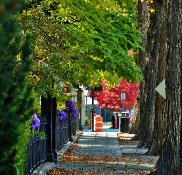 Photo by Brett Fisher. Leaves collect on the sidewalk next to the Nevada State Capitol along Musser St.
