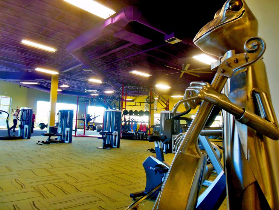 Bass-playing frog entertains clients working out at the Change Place.