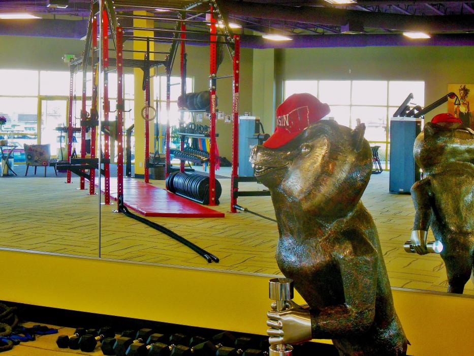 A (Wisconsin) badger overlooks The Rig work-out station inside the Change Place.