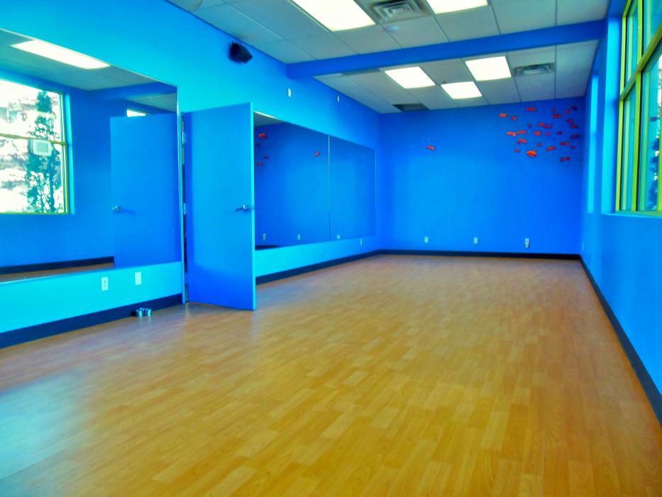 Yog studio, meditation room and 