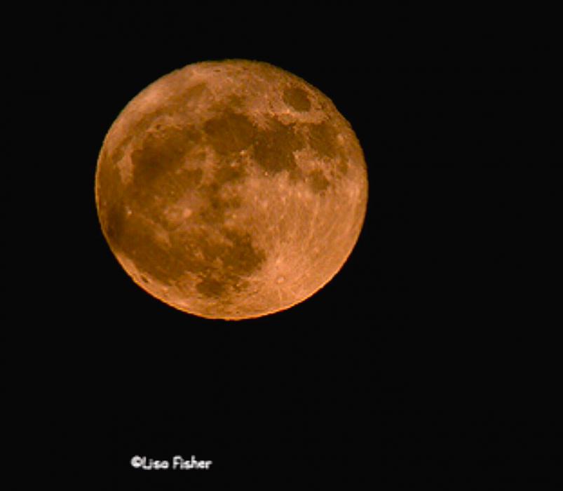 Photo by Lisa Fisher.