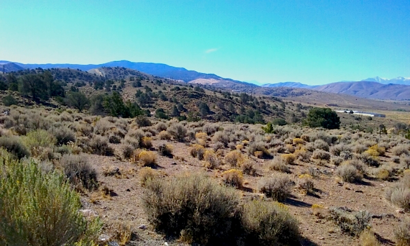 Photo by Brett Fisher. Parcel of land off Flint Drive to become the site of a disc golf complex.