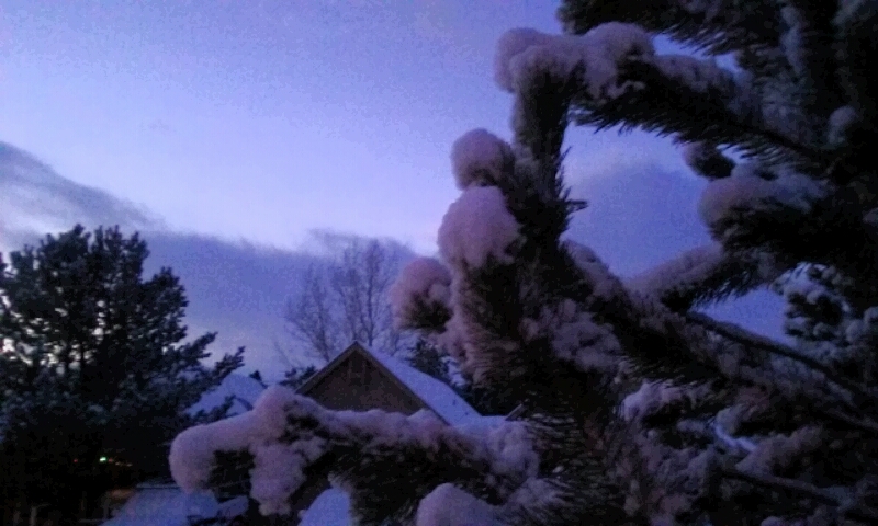 Photos by Brett Fisher. Fresh snowfall in East Carson City.