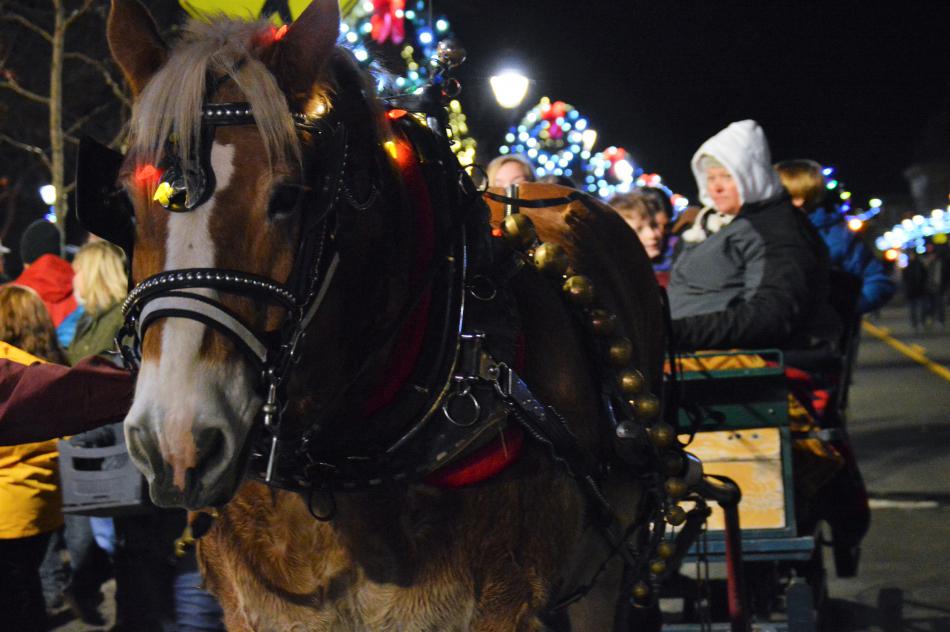A Borges family draft horse pulling a carriage along Carson Street Friday night downtown.