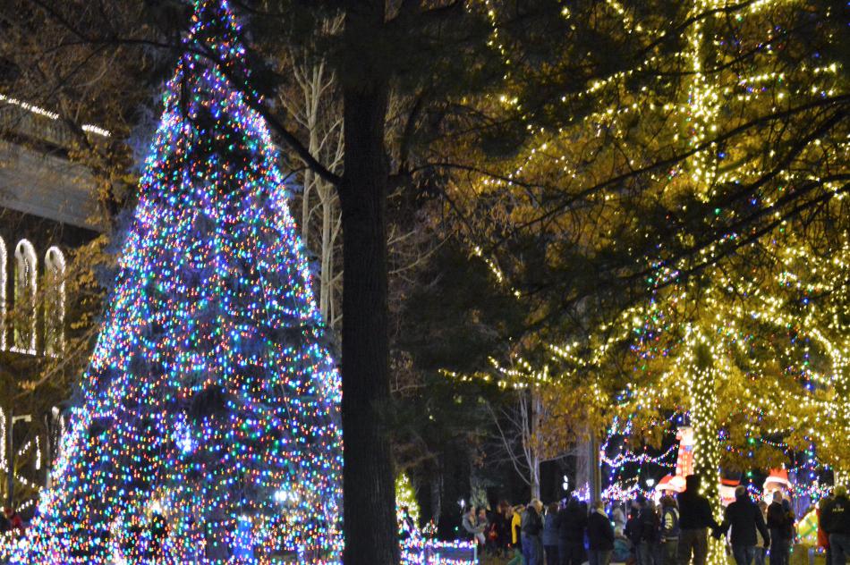 The Capitol Christmas tree lit up Friday night.