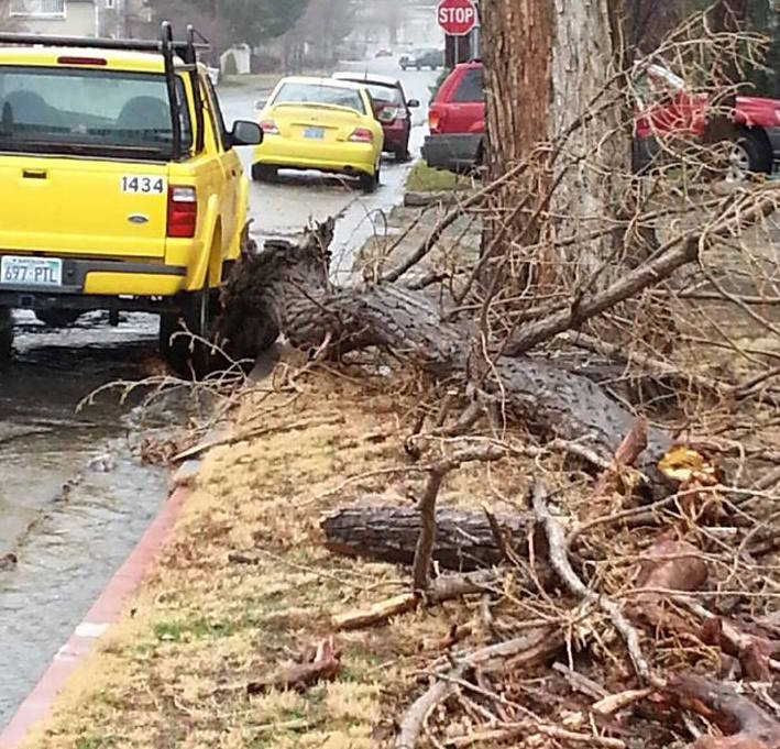 Photo courtesy of Carson City Fire Department