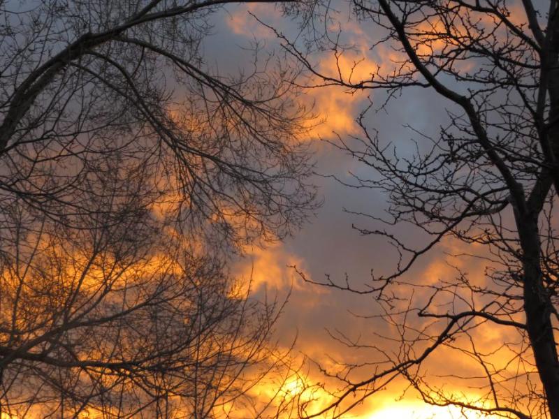 This beautiful, cloudy sunrise this morning was taken by Elaine Quilici