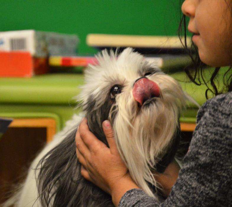 A dog is loved up during story time at the Carson City Library.