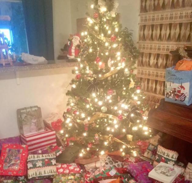 Christmas tree recycling bins will be available in Carson City beginning Jan. 2. Photo courtesy of Randee Rule.