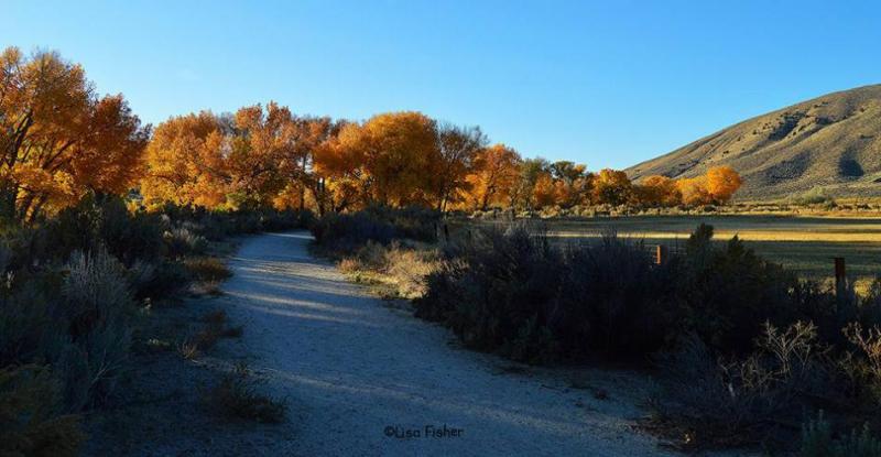 Photo by Lisa Fisher. The Silver Saddle Ranch trail along the Carson River.