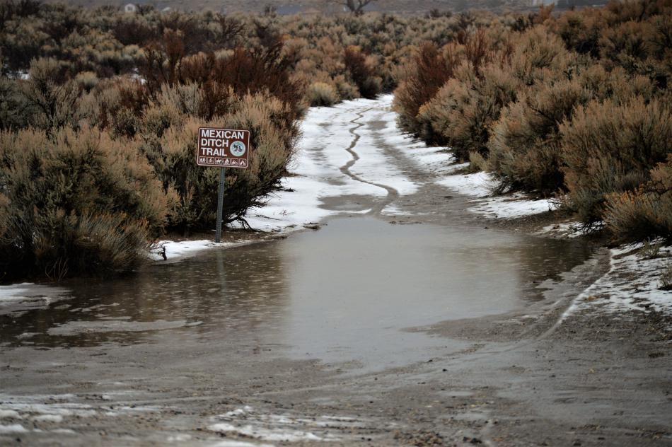 Standing water at the Mexican Ditch Trail off Carson River Road.