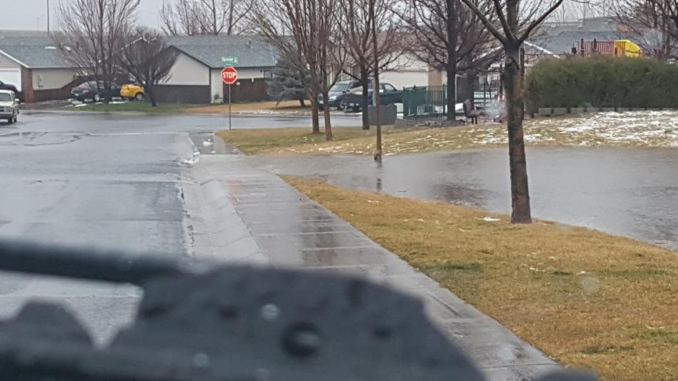 Blackwell Park - Northridge area. Photo by Randall Brooks
