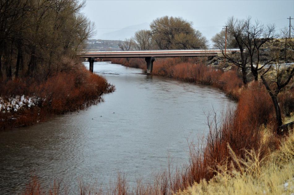 Photo by Brett Fisher. The Carson River from Sierra Vista Lane in Southeast Carson City.