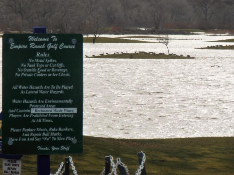 Photos by Brett Fisher. Empire Ranch Golf Course is submerged by flood waters from the Carson River.