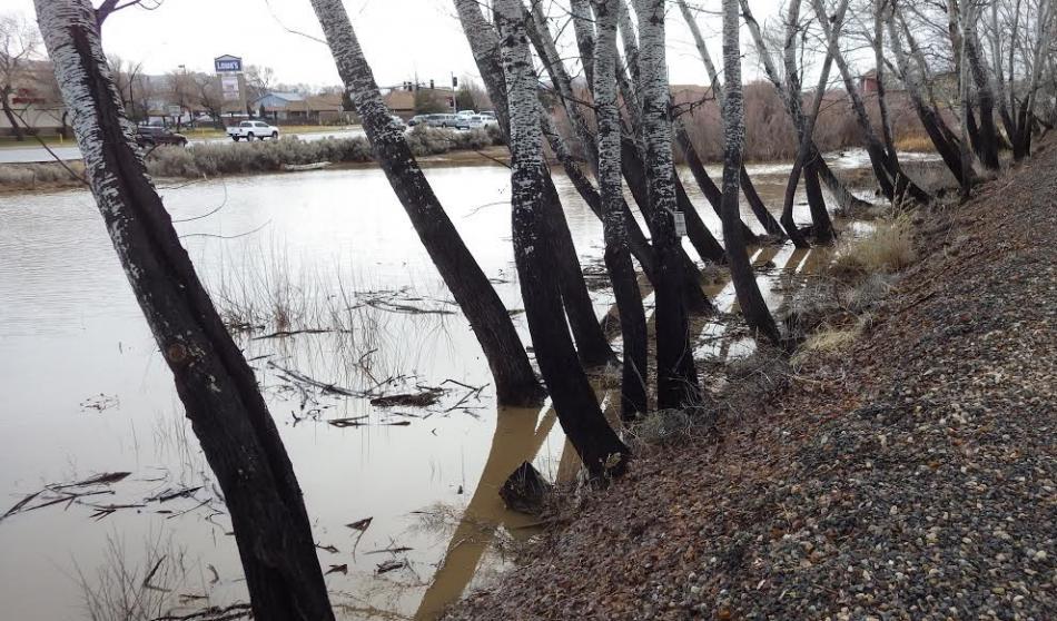 Photo courtesy NSRM. Collection pond north of the museum.