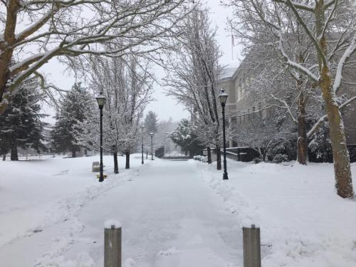 Photo courtesy of the Carson City Manager's Office