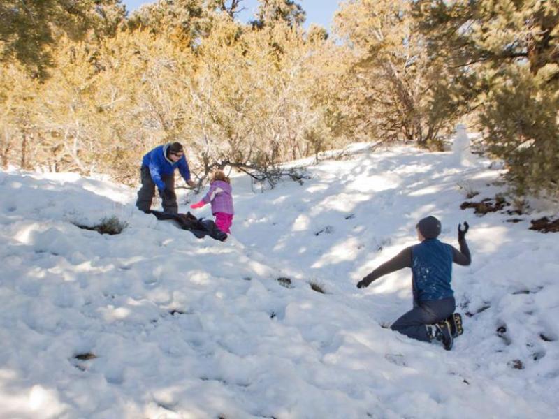 Those looking to head into the back country should prepare for conditions. Humboldt-Toiyabe National Forest photo