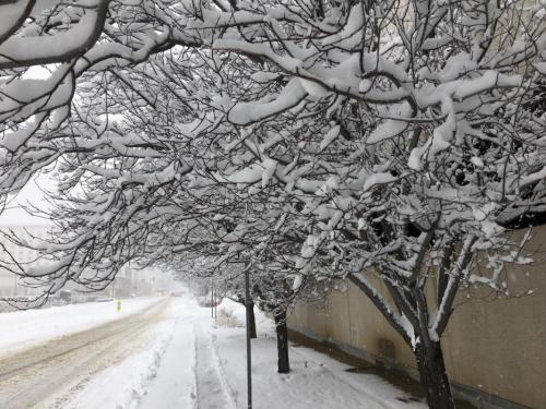 Photo courtesy Carson City Manager's office.
