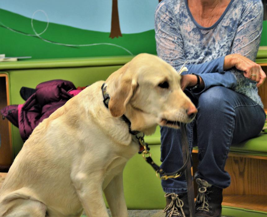 Yellow lab Docker holds his leash as if ready to go toward the end of Saturday's reading session.
