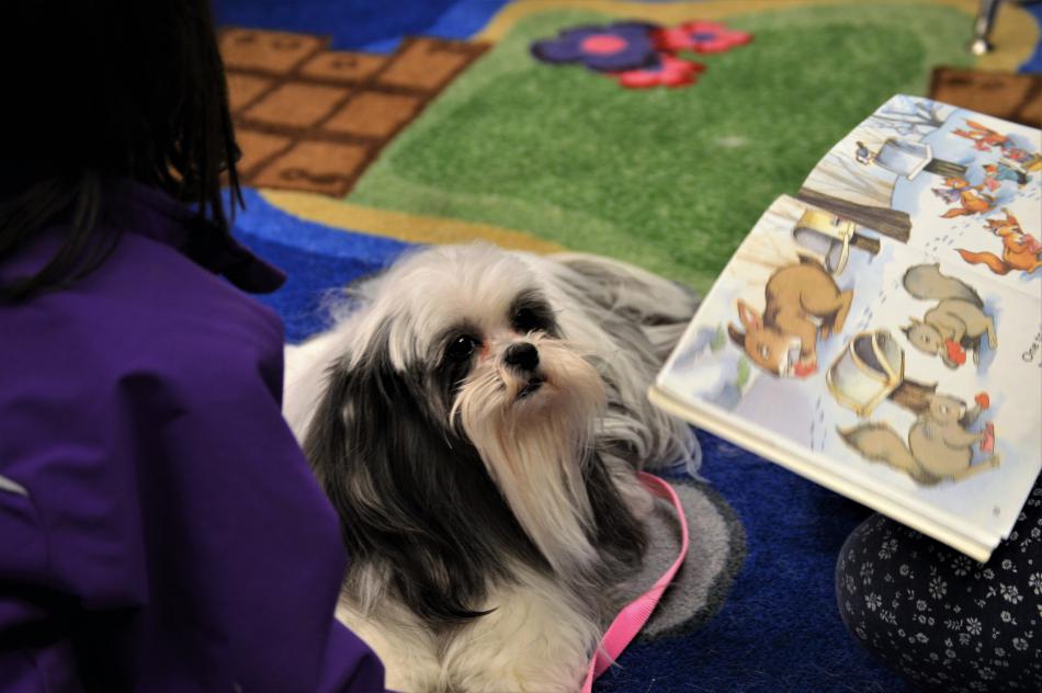 Photos by Brett Fisher. A small dog listens as a child reads her a book Saturday.