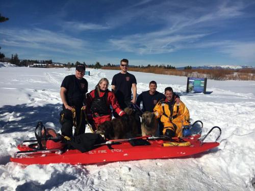 Chris Wildman, Sophie Tetlow, Mike Taormina, Karl Koeppen and Bronson Mills with the dogs